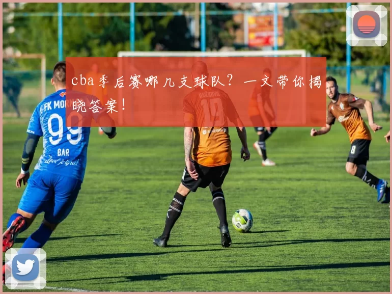 cba季后赛哪几支球队？一文带你揭晓答案！