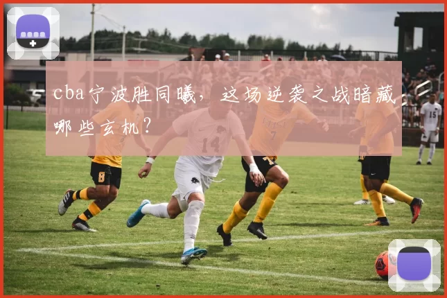 cba宁波胜同曦,这场逆袭之战暗藏哪些玄机?