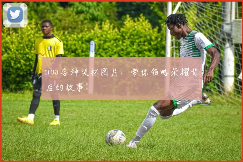 nba各种奖杯图片，带你领略荣耀背后的故事！
