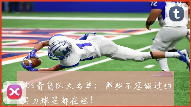 cba青岛队大名单:那些不容错过的实力球星都在这!