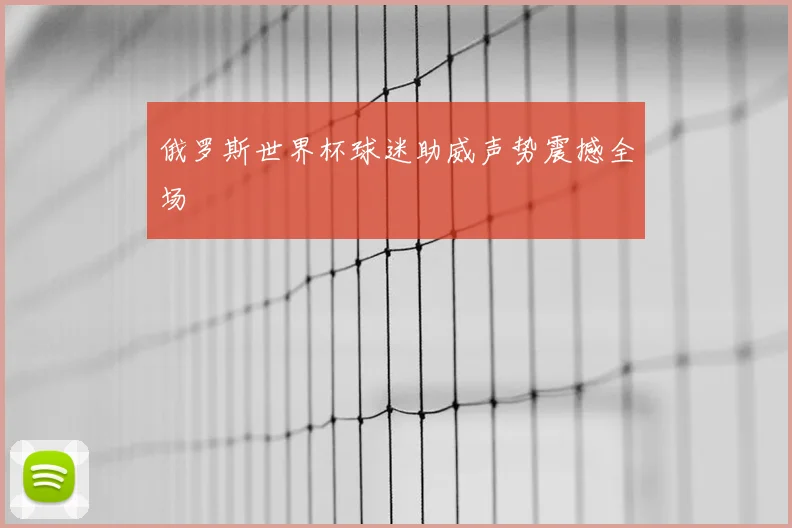 俄罗斯世界杯球迷助威声势震撼全场