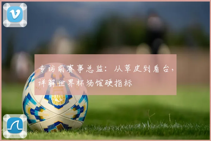 专访前赛事总监：从草皮到看台，详解世界杯场馆硬指标